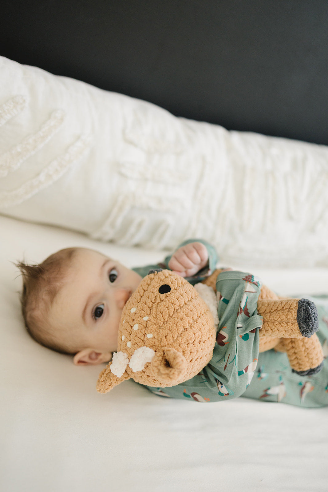 lovie || velvet the fawn