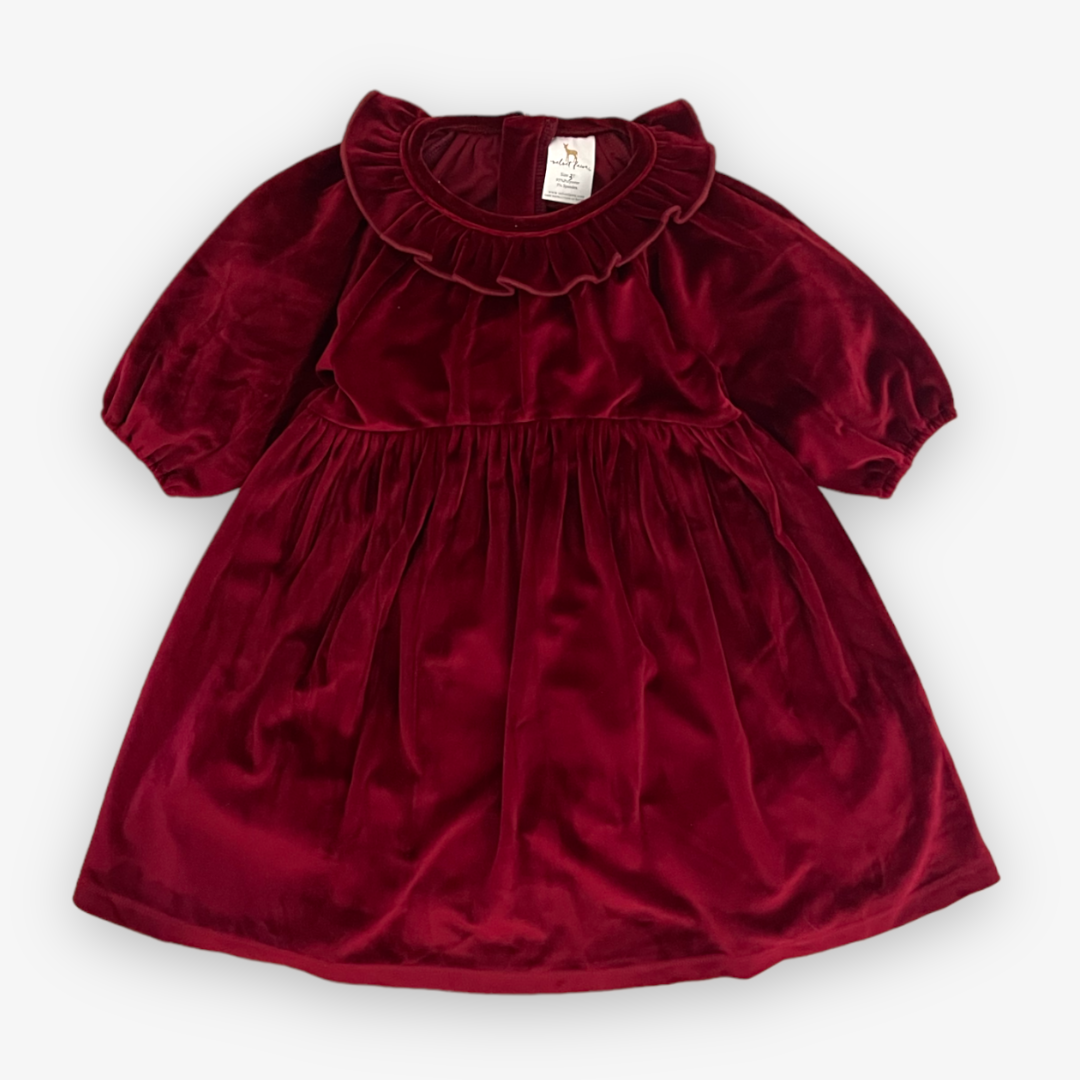 maxine dress || cranberry velvet