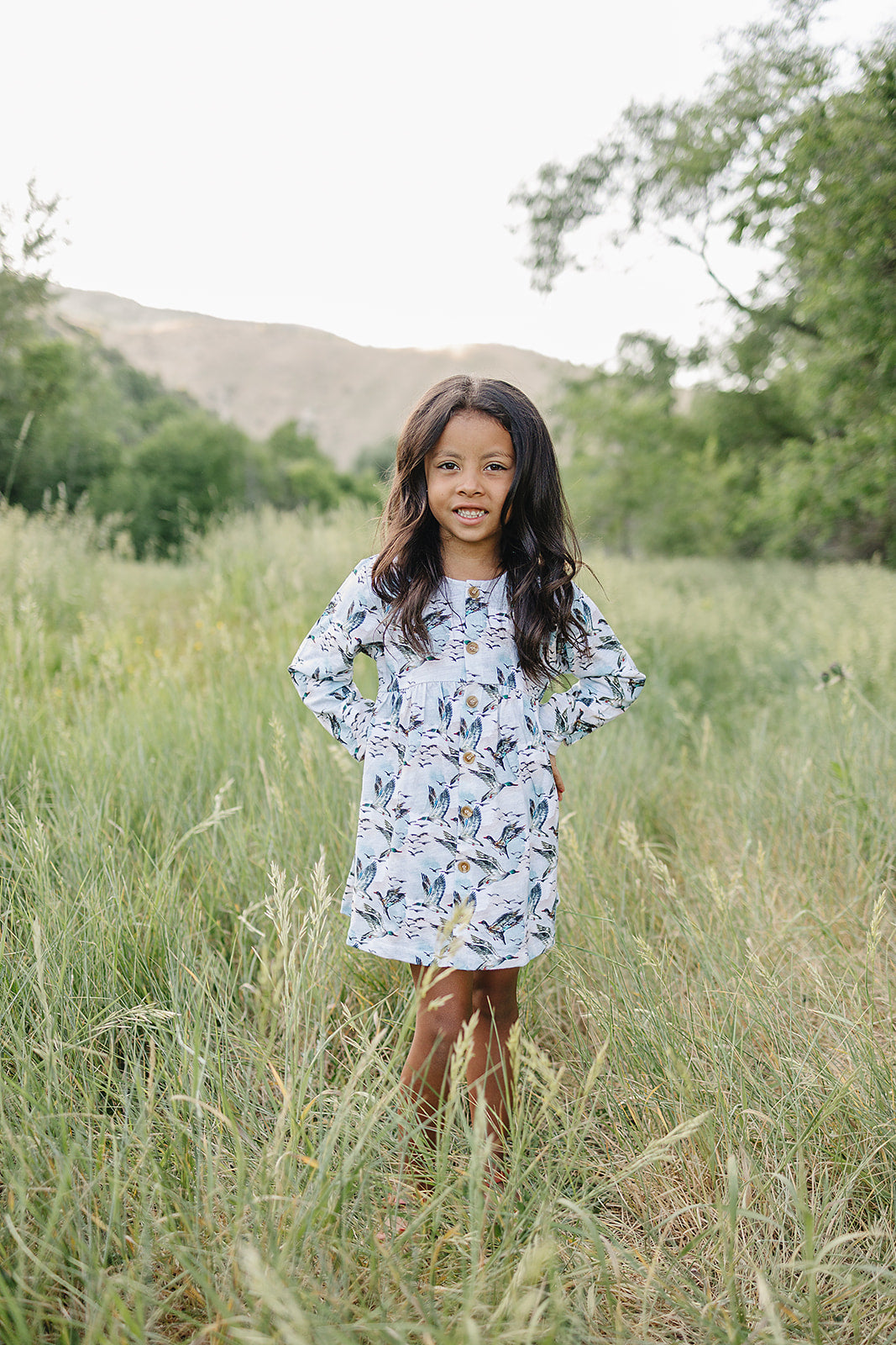 mabel dress || mallard sky