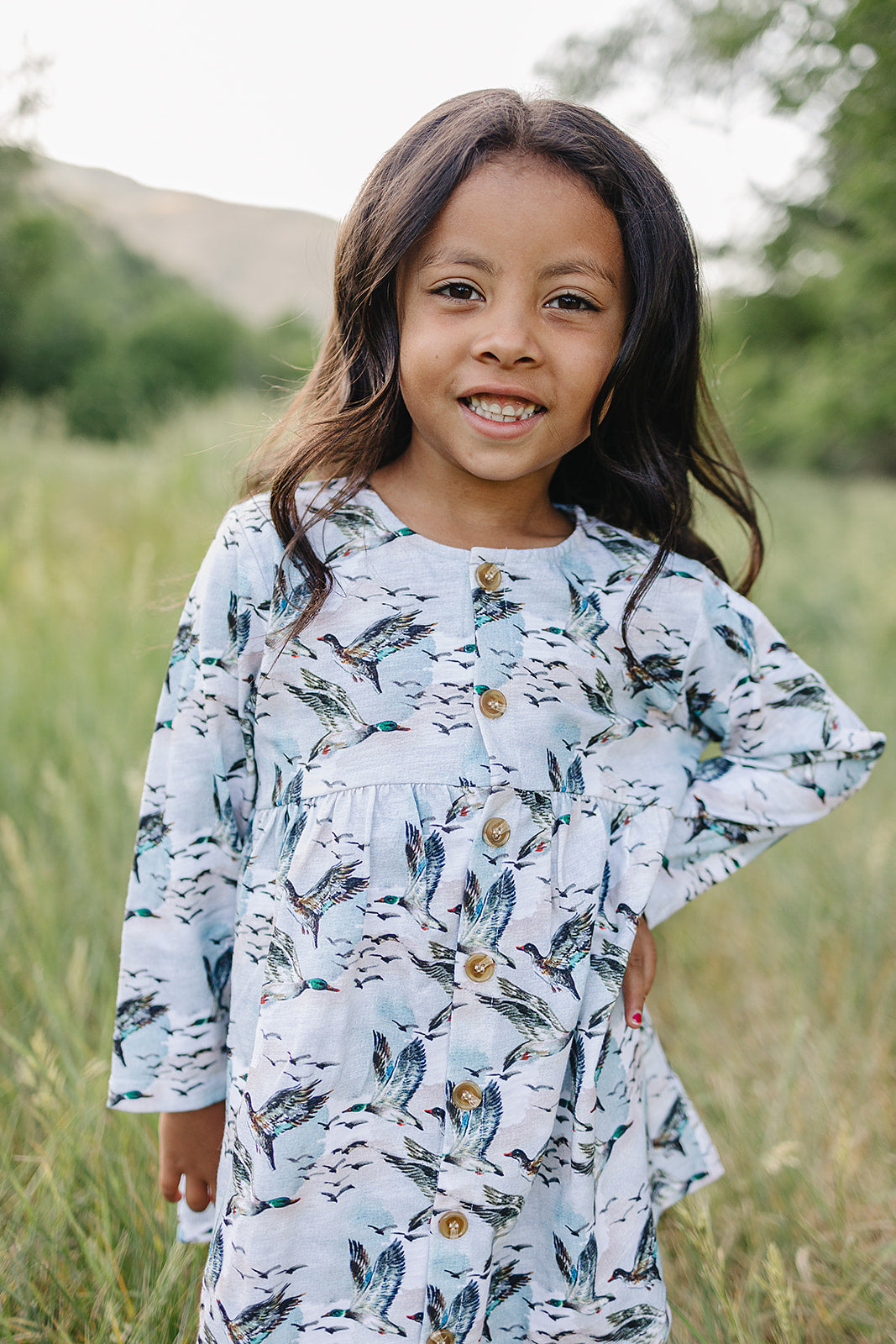 mabel dress || mallard sky