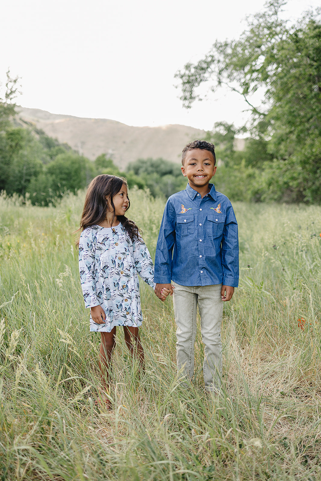 mabel dress || mallard sky